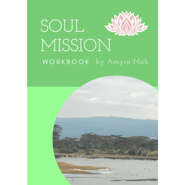 soul mission workbook by amyra mah